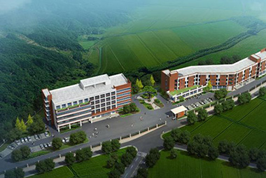 佛山市富龍西江特大橋治超及管養(yǎng)房建工程