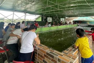 尋找另一種美好生活